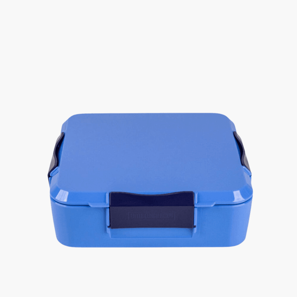 MONTII.CO Bento Plus | Blueberry-1973194229744275456