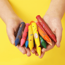 Flower Monaco Palmy Crayons 16 Colours-1973194101914472450
