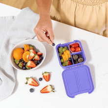 Little Lunch Box Co Bento Two Grape-1973194148471246850