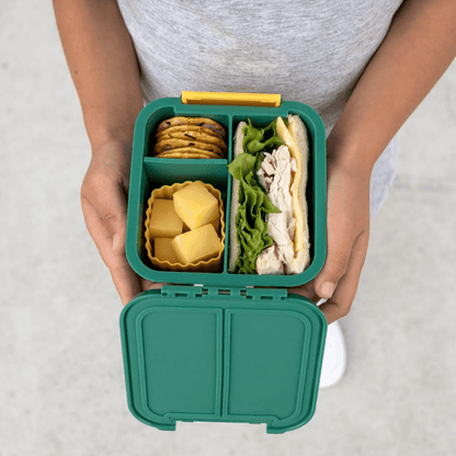 Little Lunch Box Co Bento Two Apple-1973194148014067717