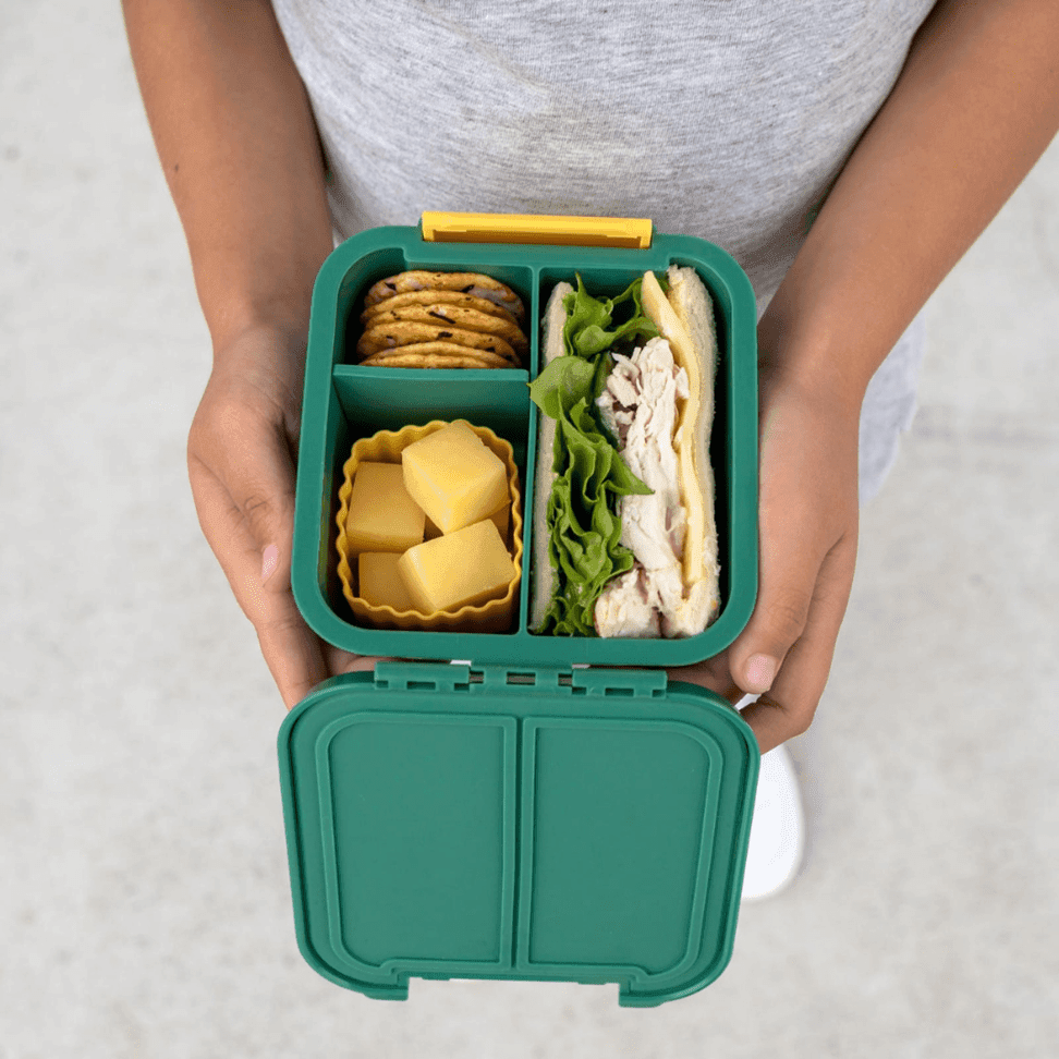 Little Lunch Box Co Bento Two Blueberry-1973194148232171525