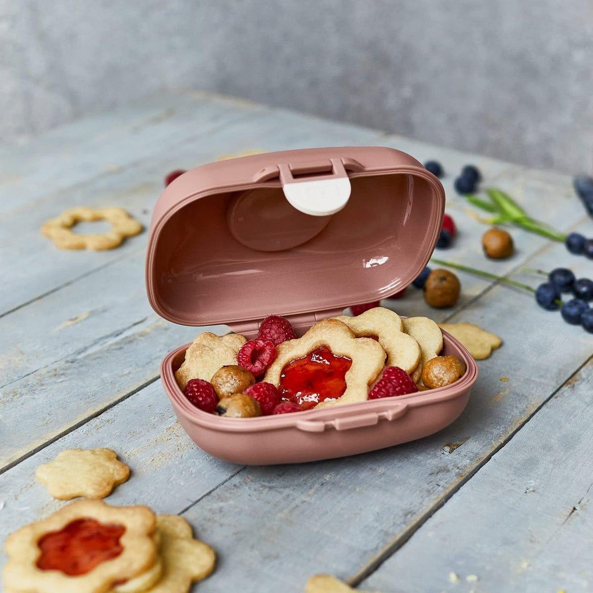 Monbento Gram Snack Box-Cinnamon Fox Cinnamon Fox-1973194135523430405