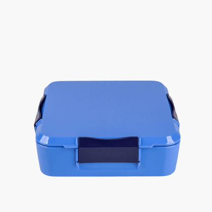 MONTII.CO Bento Plus | Blueberry-1973194229744275456