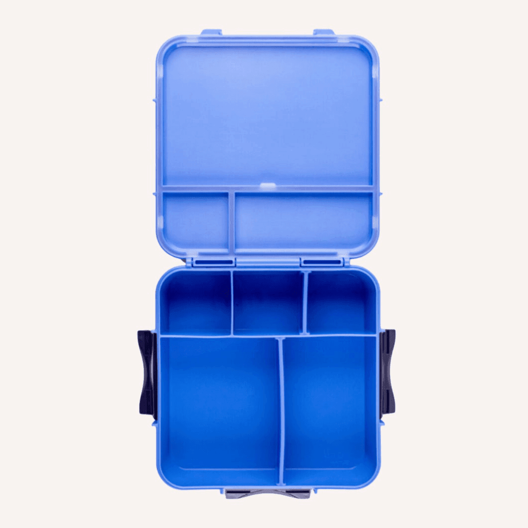 MONTII.CO Bento Plus | Blueberry-1973194229744275457