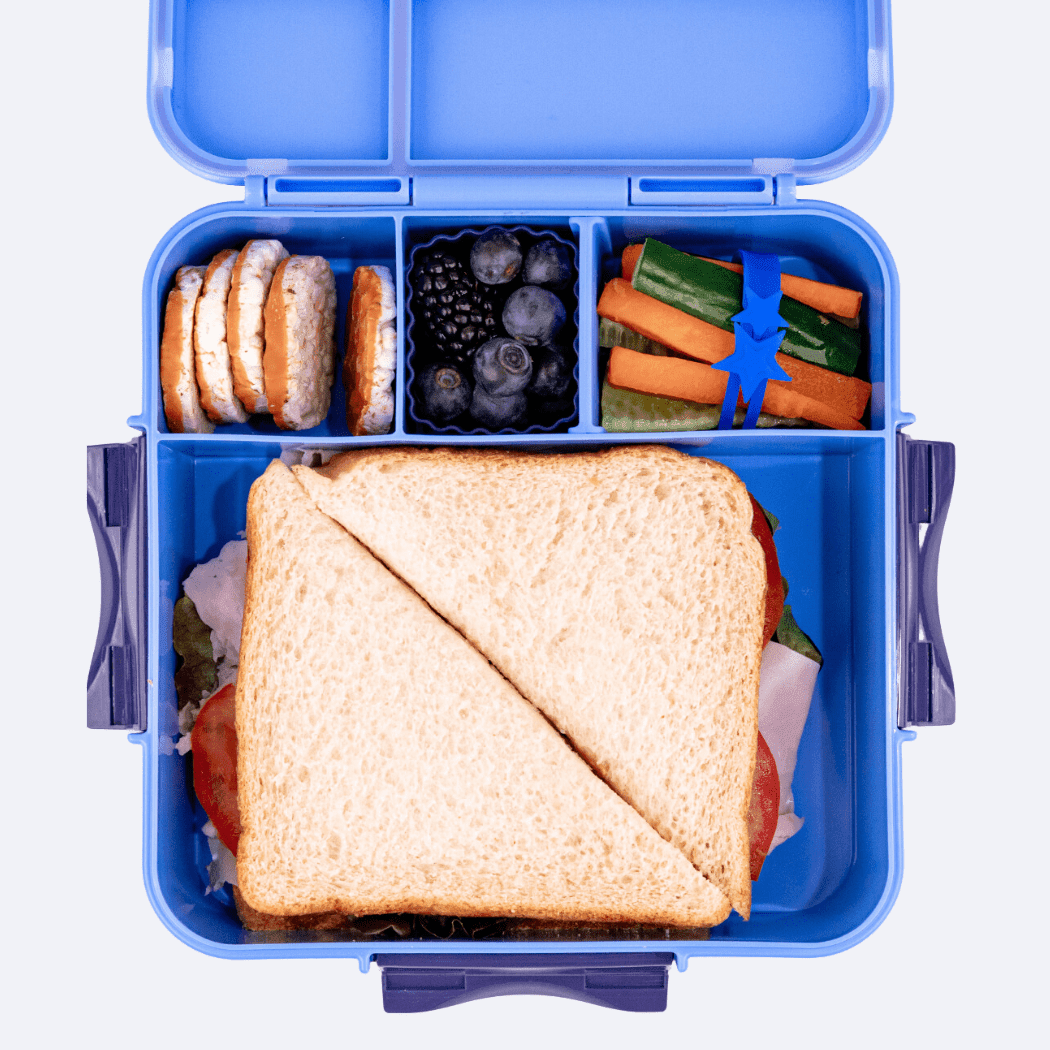 MONTII.CO Bento Plus | Blueberry-1973194229744275458