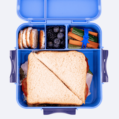 MONTII.CO Bento Plus | Blueberry-1973194229744275458